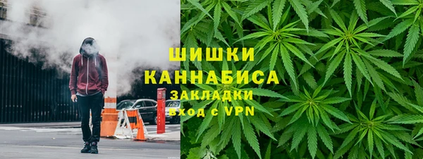 прущие грибы Баксан