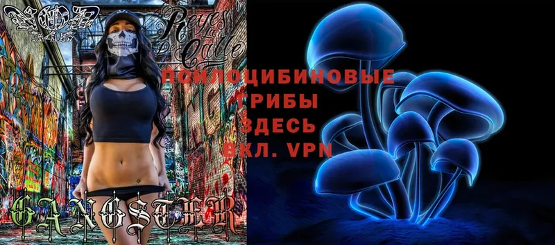 Галлюциногенные грибы Magic Shrooms  Демидов 